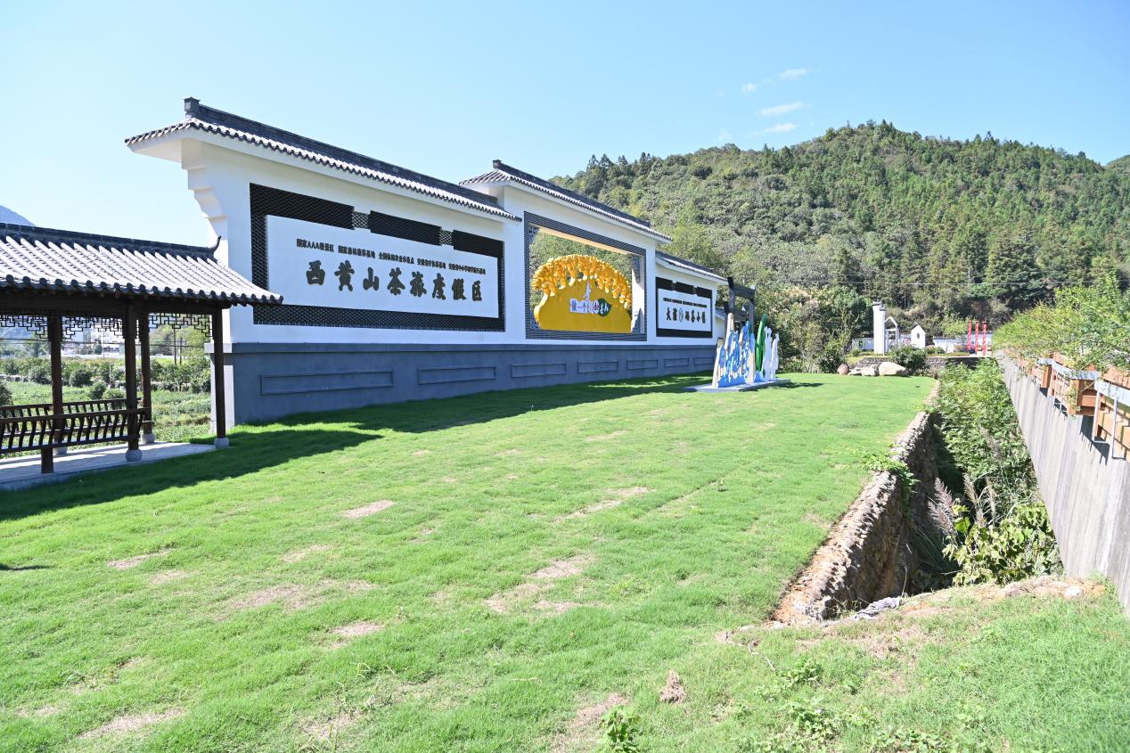 石台富硒茶的由来(石台特产富硒茶价格)-硒宝网