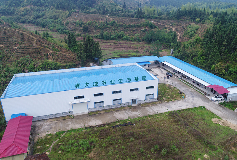 湖北的葛花富硒茶（富硒葛根固体饮料）-硒宝网