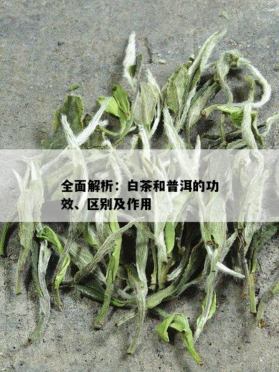 富硒藤茶是雪茶吗(富硒藤茶的价格)-硒宝网