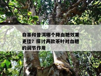 富硒藤茶是雪茶吗(富硒藤茶的价格)-硒宝网