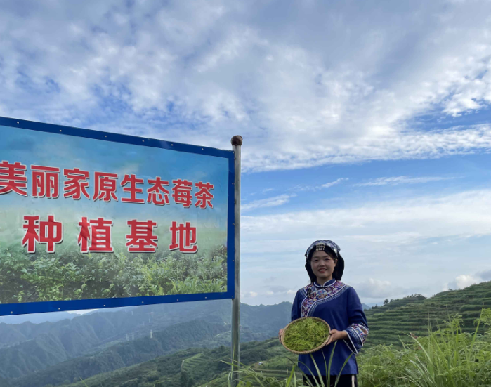 富硒莓茶用洗茶吗（富硒莓茶的功效）-硒宝网