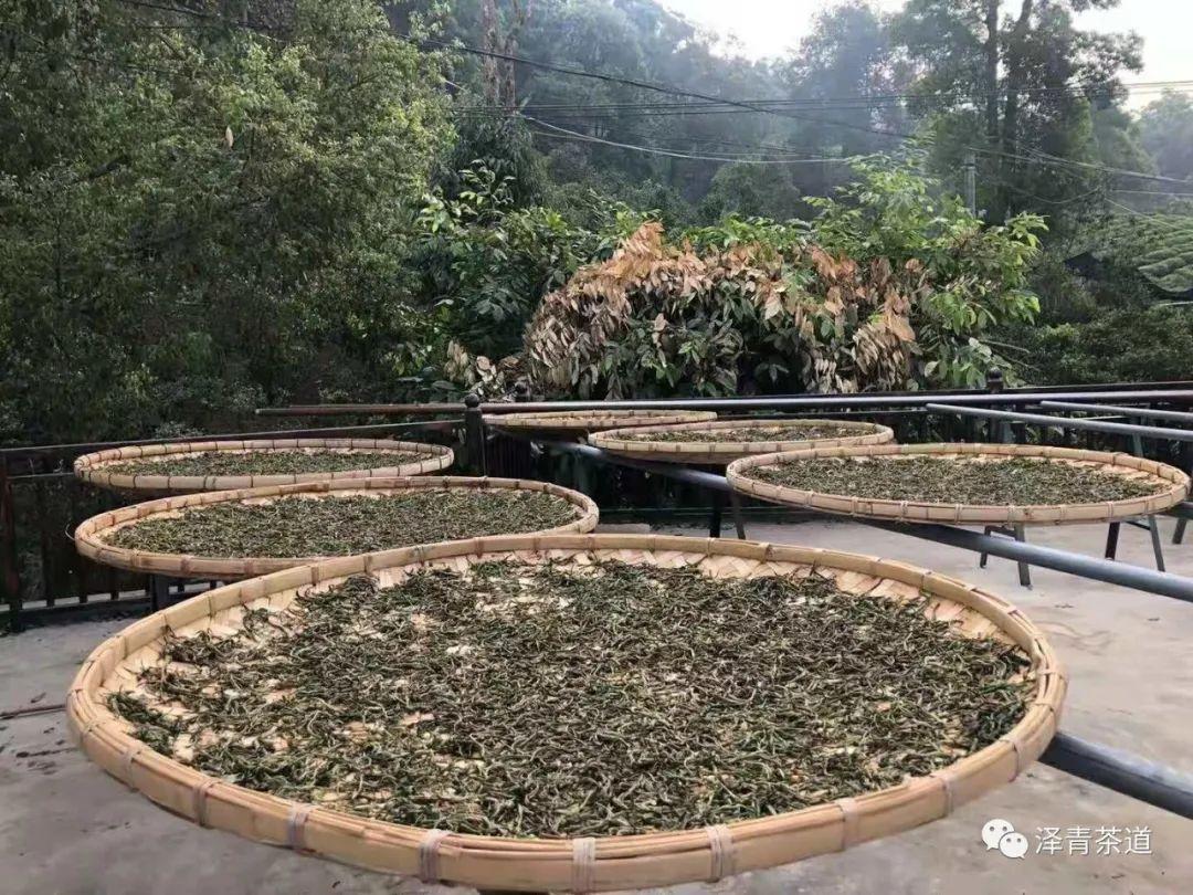 富硒茶是普洱茶吗（茶普洱富硒是什么味道）-硒宝网