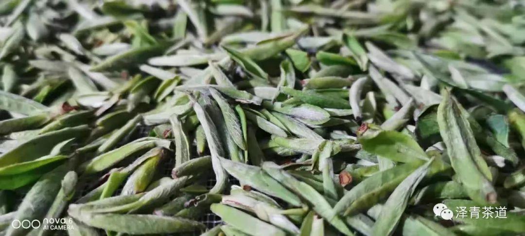 富硒茶是普洱茶吗（茶普洱富硒是什么味道）-硒宝网