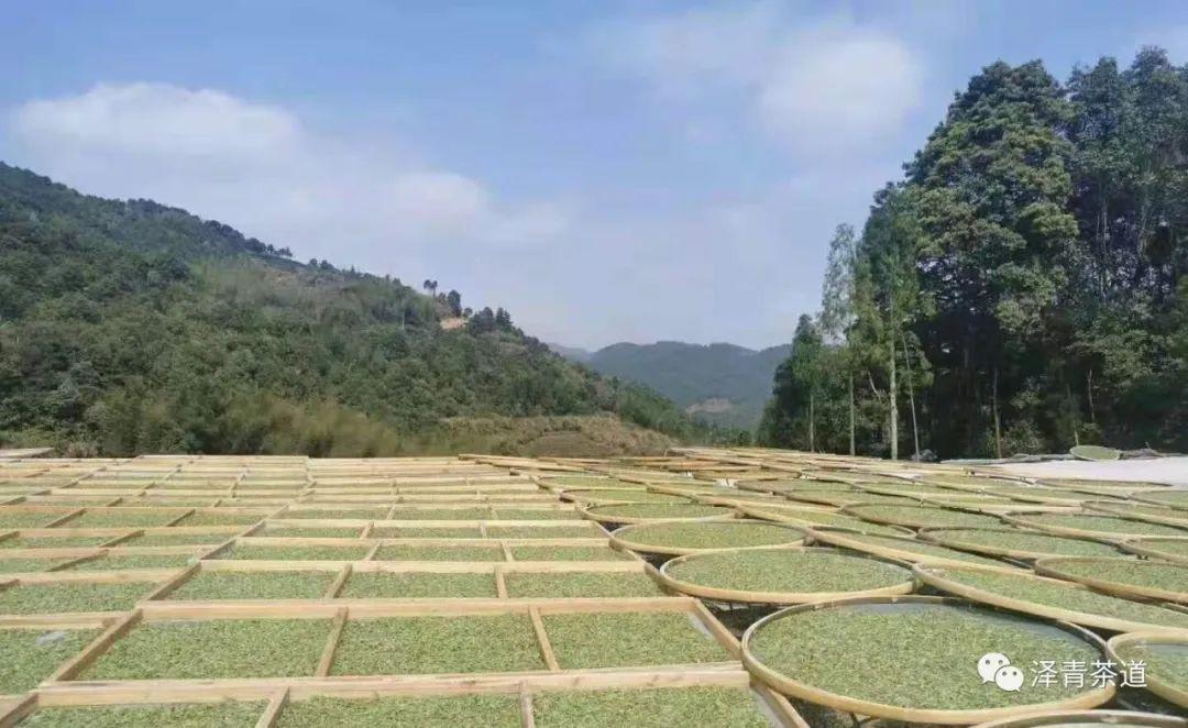 富硒茶是普洱茶吗（茶普洱富硒是什么味道）-硒宝网