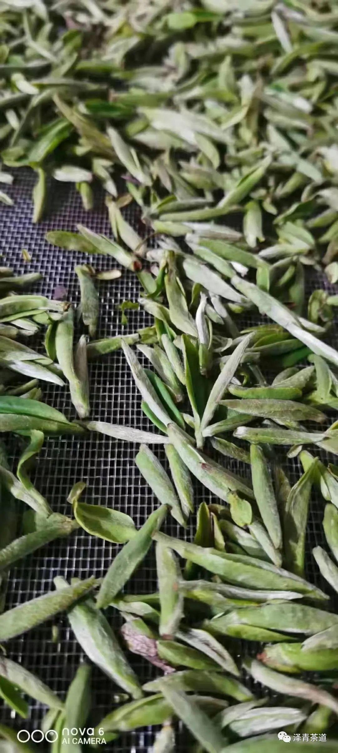 富硒茶是普洱茶吗（茶普洱富硒是什么味道）-硒宝网