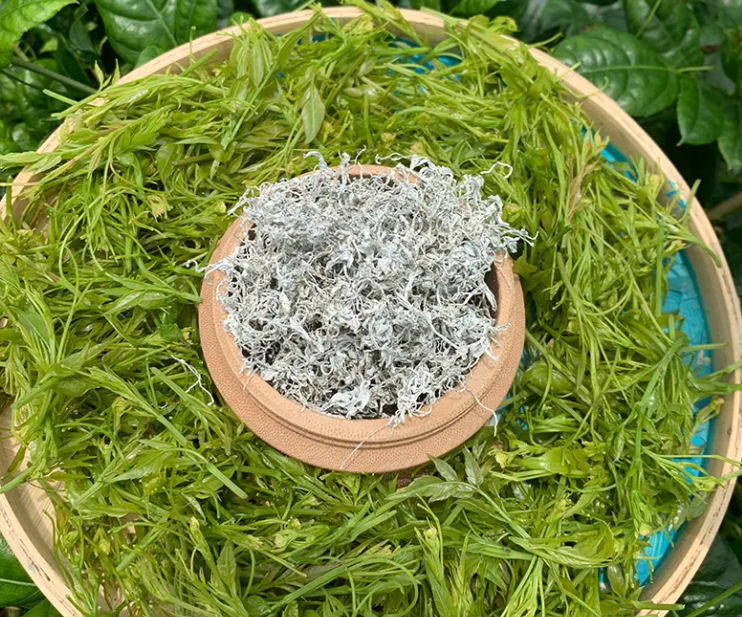 莓茶是富硒藤茶吗（茶莓富硒藤茶是什么茶）-硒宝网