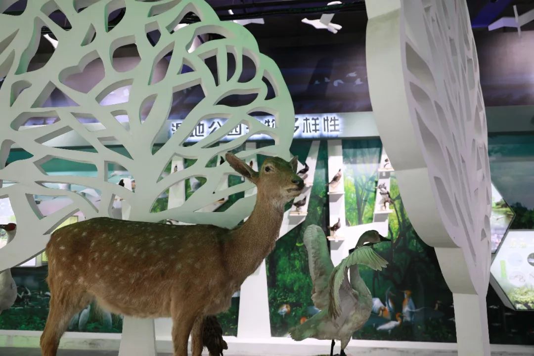 仙寓山富硒茶检测（仙寓山富硒野茶是什么茶）-硒宝网