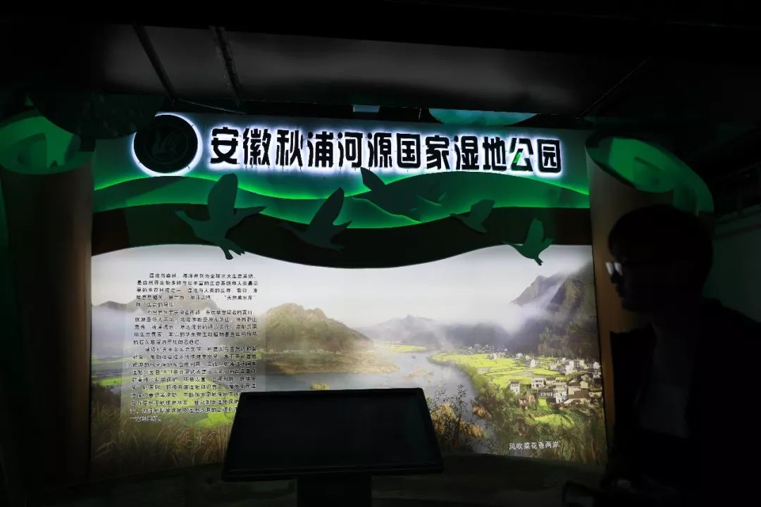 仙寓山富硒茶检测（仙寓山富硒野茶是什么茶）-硒宝网