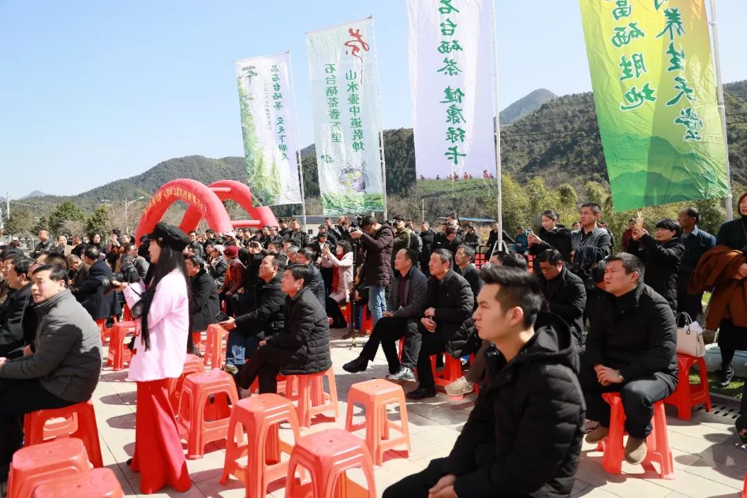 仙寓山富硒茶检测（仙寓山富硒野茶是什么茶）-硒宝网