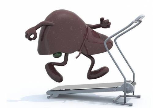 富硒茶对肝的影响（肝茶富硒影响性功能吗）-硒宝网