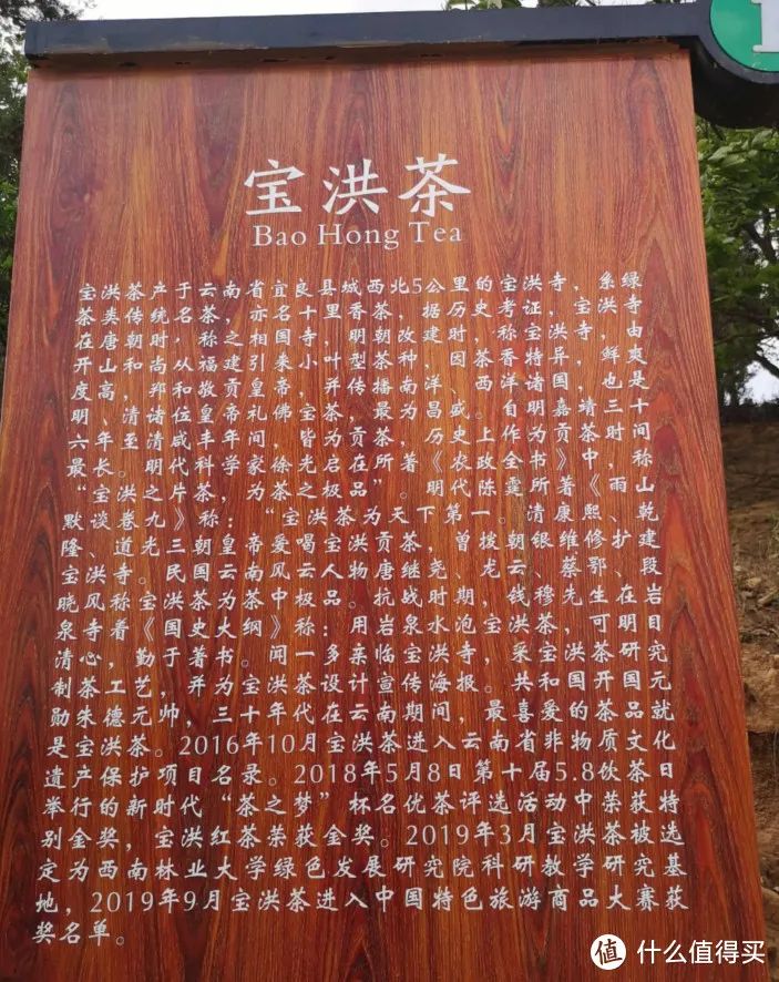 富硒茶能喝普洱茶(茶能喝普洱富硒吗)-硒宝网