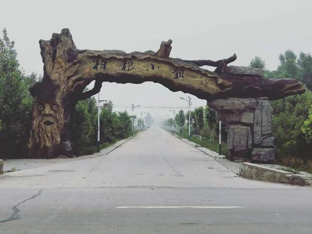 富硒泰德隆长寿茶（泰德隆长寿茶的价格）-硒宝网