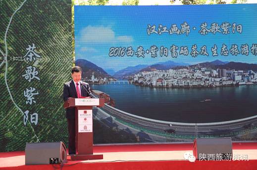 西安市紫阳富硒茶(陕西省紫阳县富硒茶)-硒宝网