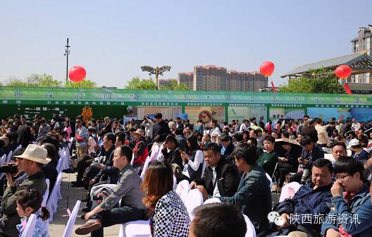 西安市紫阳富硒茶(陕西省紫阳县富硒茶)-硒宝网