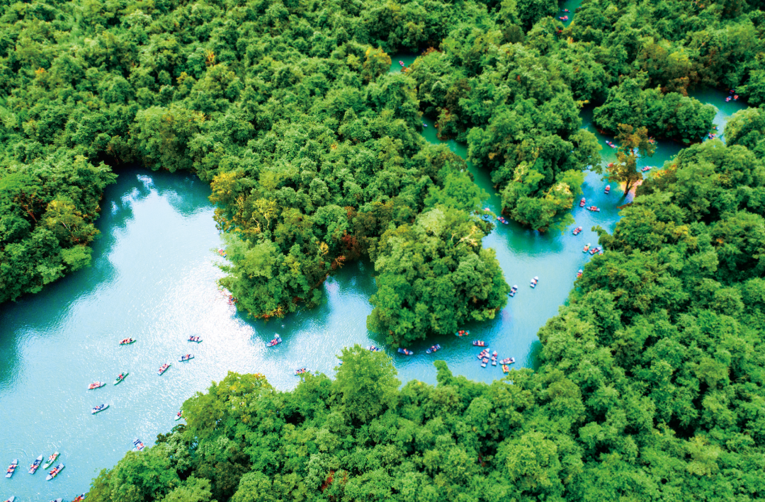 贵州省开阳富硒茶(贵州开阳富硒茶价格)-硒宝网
