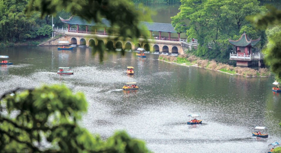 贵州省开阳富硒茶(贵州开阳富硒茶价格)-硒宝网