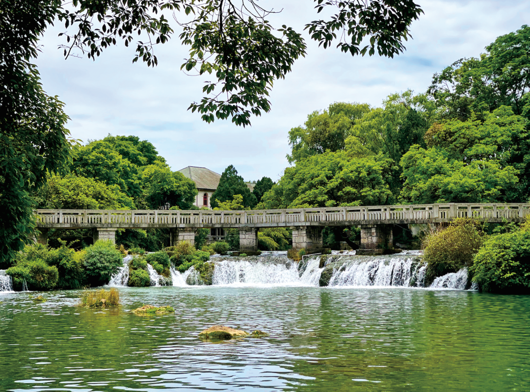 贵州省开阳富硒茶(贵州开阳富硒茶价格)-硒宝网