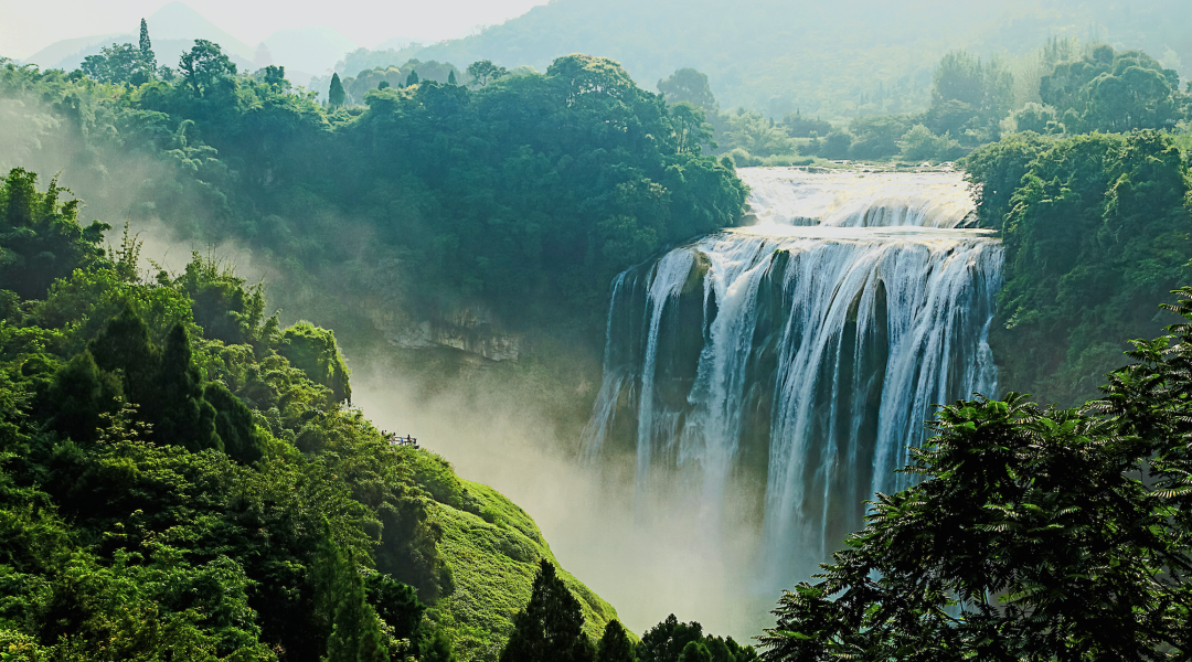贵州省开阳富硒茶(贵州开阳富硒茶价格)-硒宝网