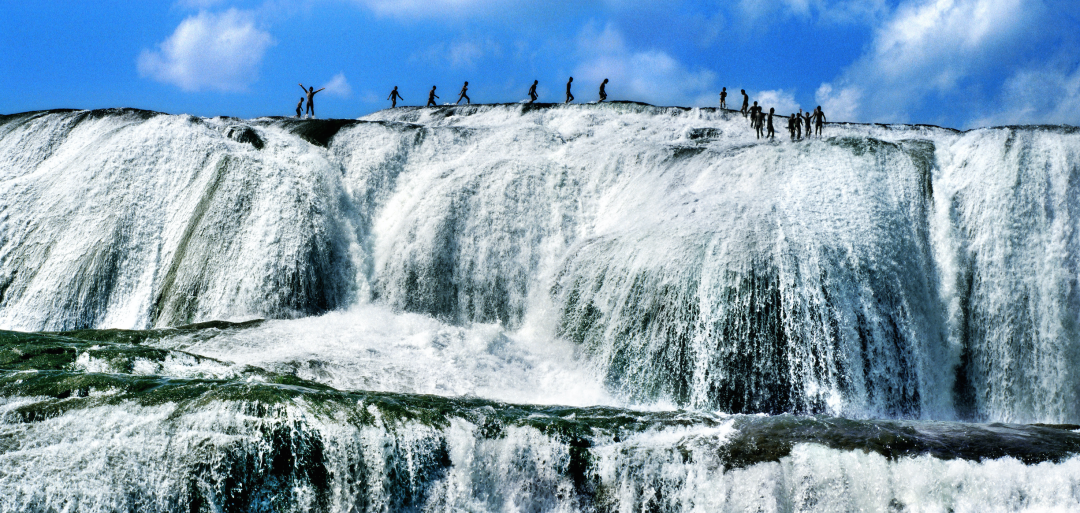 贵州省开阳富硒茶(贵州开阳富硒茶价格)-硒宝网