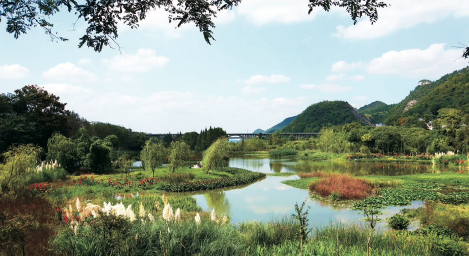 贵州省开阳富硒茶(贵州开阳富硒茶价格)-硒宝网