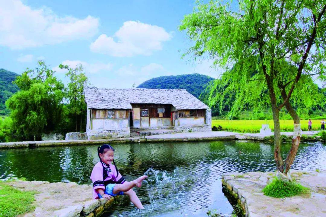 贵州省开阳富硒茶(贵州开阳富硒茶价格)-硒宝网