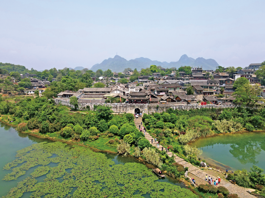 贵州省开阳富硒茶(贵州开阳富硒茶价格)-硒宝网