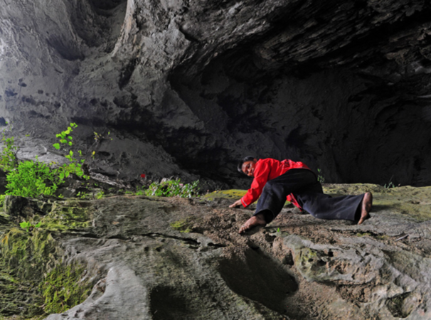 贵州省开阳富硒茶(贵州开阳富硒茶价格)-硒宝网