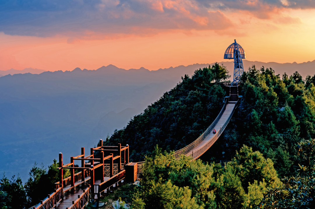 贵州省开阳富硒茶(贵州开阳富硒茶价格)-硒宝网