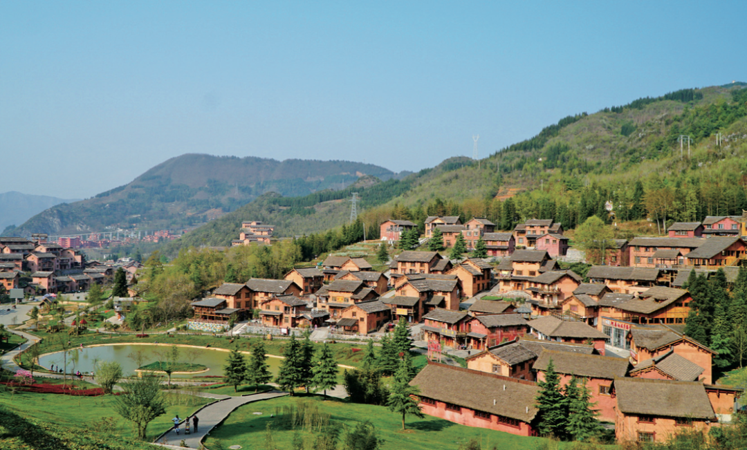 贵州省开阳富硒茶(贵州开阳富硒茶价格)-硒宝网