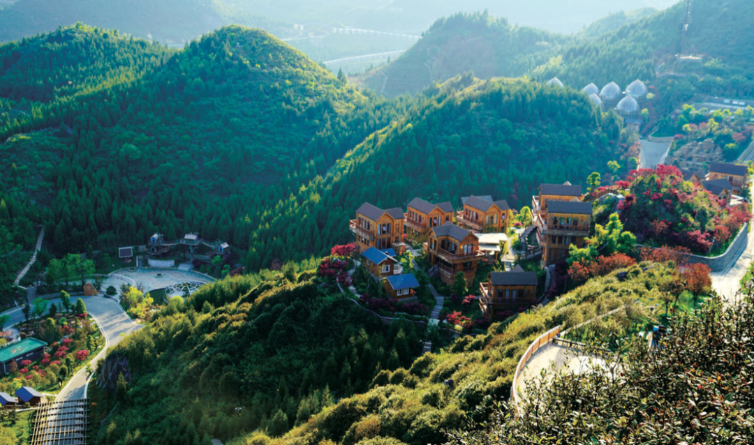 贵州省开阳富硒茶(贵州开阳富硒茶价格)-硒宝网