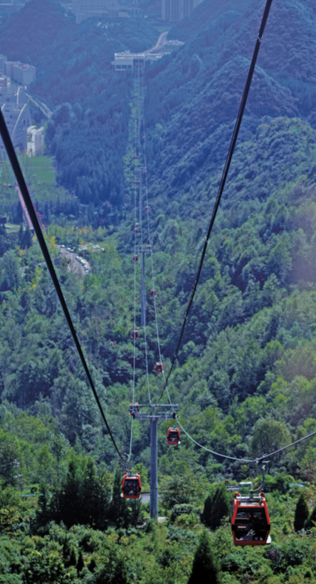 贵州省开阳富硒茶(贵州开阳富硒茶价格)-硒宝网