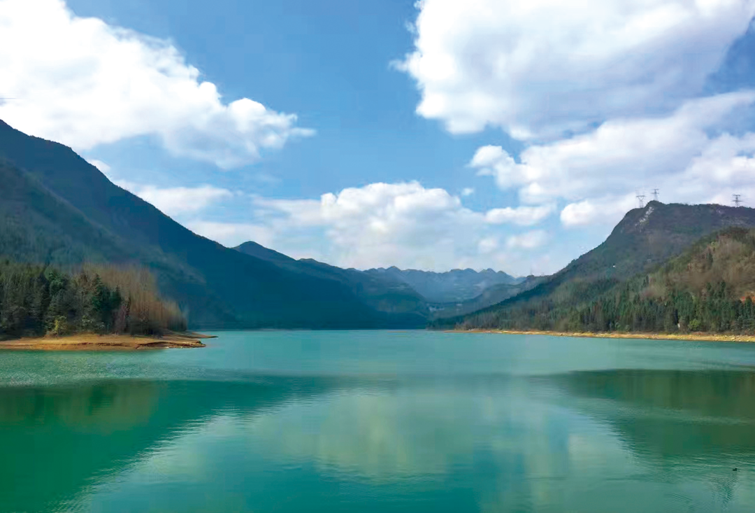 贵州省开阳富硒茶(贵州开阳富硒茶价格)-硒宝网