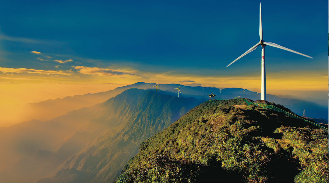 贵州省开阳富硒茶(贵州开阳富硒茶价格)-硒宝网