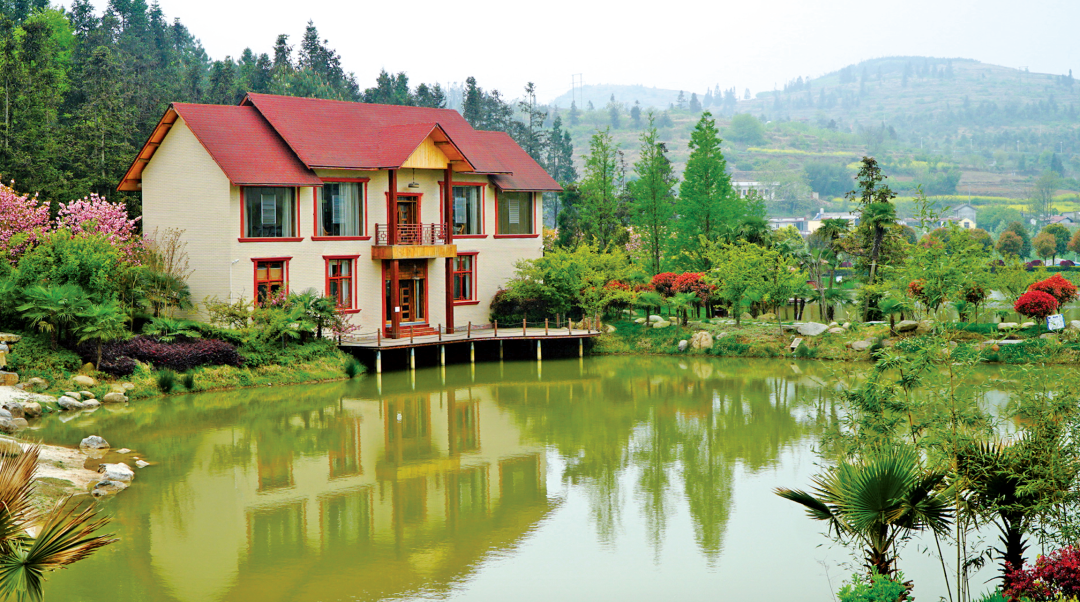 贵州省开阳富硒茶(贵州开阳富硒茶价格)-硒宝网