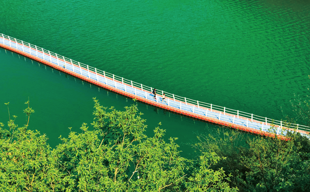 贵州省开阳富硒茶(贵州开阳富硒茶价格)-硒宝网