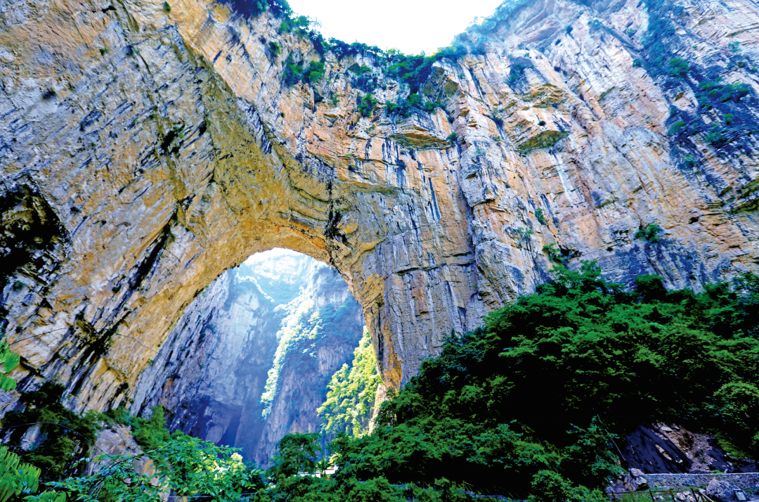 贵州省开阳富硒茶(贵州开阳富硒茶价格)-硒宝网