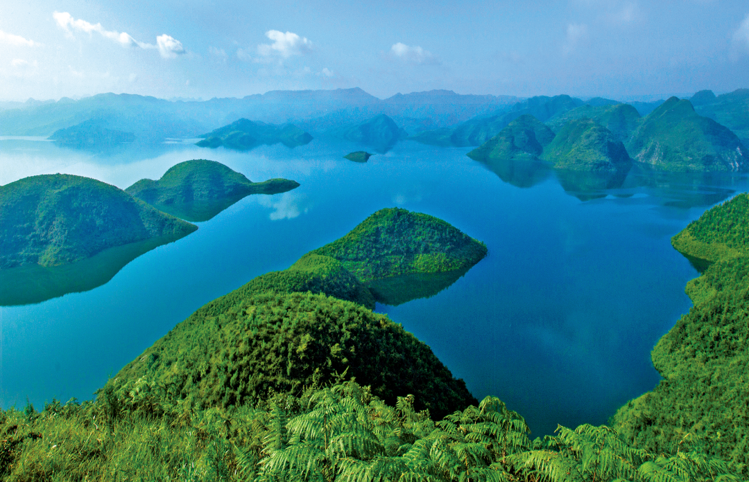 贵州省开阳富硒茶(贵州开阳富硒茶价格)-硒宝网