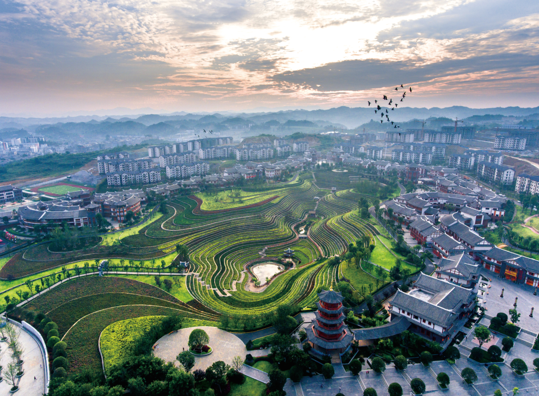 贵州省开阳富硒茶(贵州开阳富硒茶价格)-硒宝网