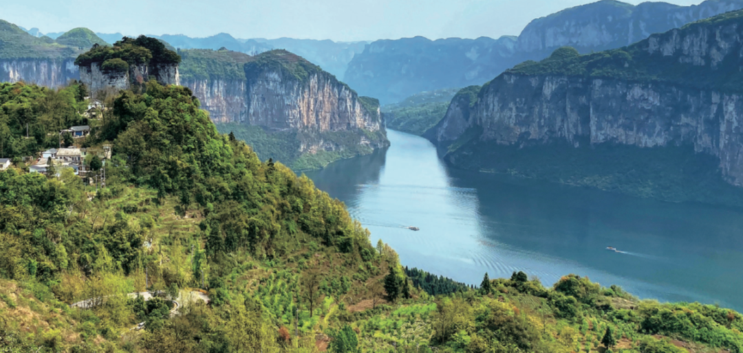 贵州省开阳富硒茶(贵州开阳富硒茶价格)-硒宝网