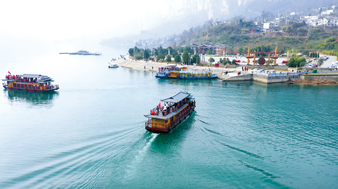 贵州省开阳富硒茶(贵州开阳富硒茶价格)-硒宝网