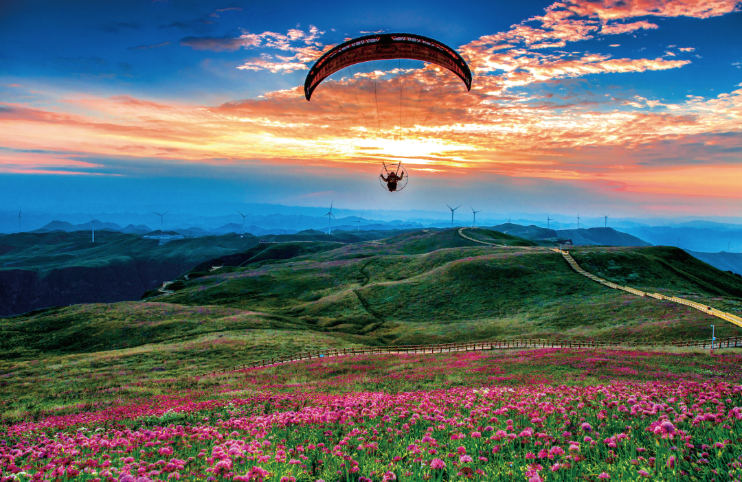 贵州省开阳富硒茶(贵州开阳富硒茶价格)-硒宝网