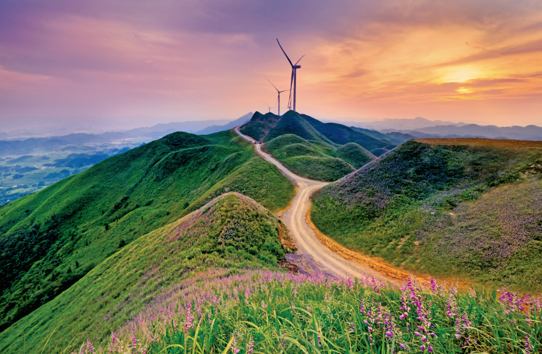 贵州省开阳富硒茶(贵州开阳富硒茶价格)-硒宝网