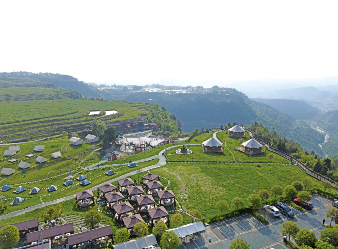 贵州省开阳富硒茶(贵州开阳富硒茶价格)-硒宝网