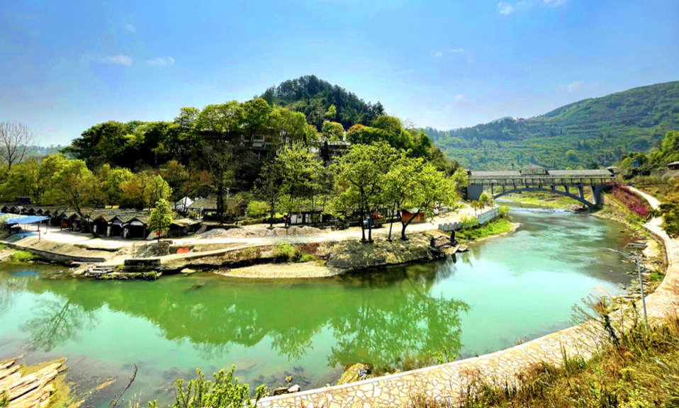 贵州省开阳富硒茶(贵州开阳富硒茶价格)-硒宝网