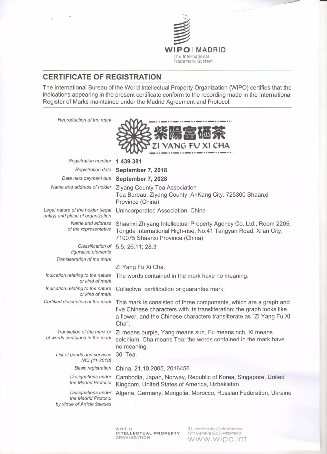 紫阳富硒茶说明书（富硒紫阳茶多少钱一斤）-硒宝网