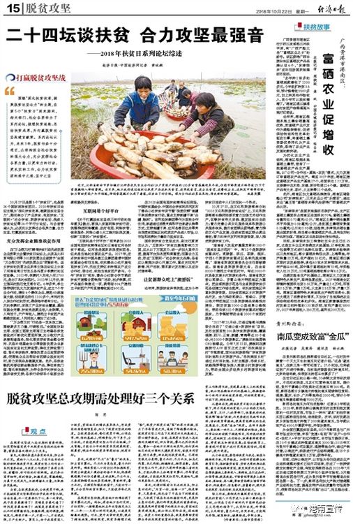 富硒桥子茶哪里卖(桥茶的作用)-硒宝网