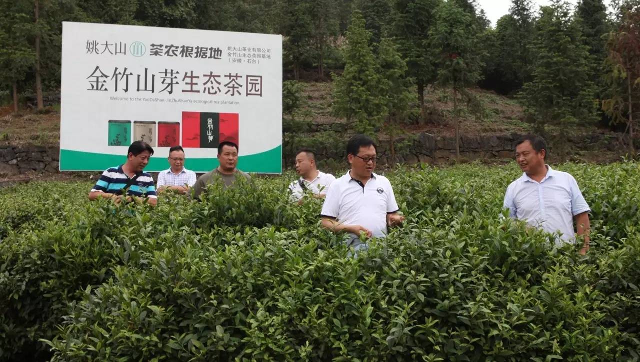 石台七都镇富硒茶(安徽省石台县七都镇是否富硒)-硒宝网