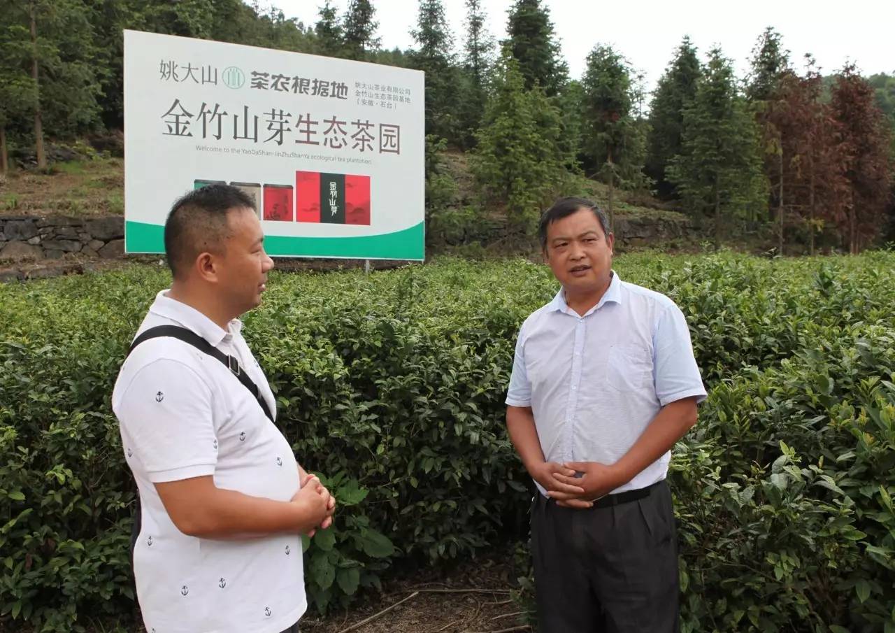 石台七都镇富硒茶(安徽省石台县七都镇是否富硒)-硒宝网