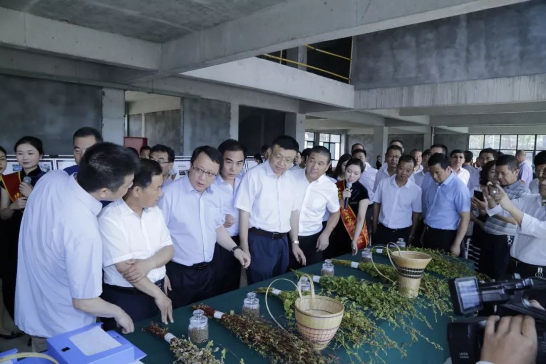 富硒黑苦荞茶作用（黑茶苦荞的功效与作用）-硒宝网