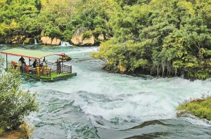 广西中超富硒米茶(广西富硒米哪个好)-硒宝网